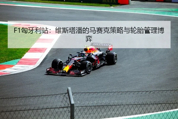 F1匈牙利站：维斯塔潘的马赛克策略与轮胎管理博弈
