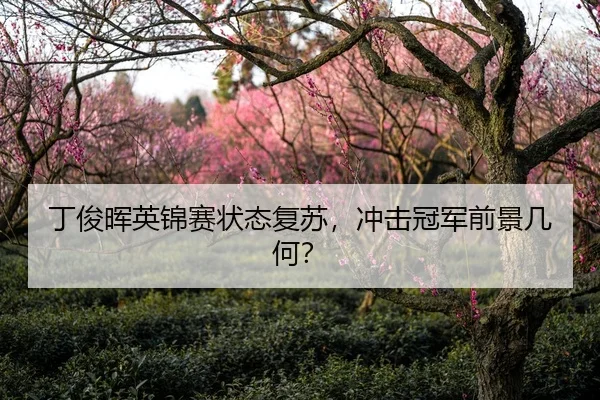 丁俊晖英锦赛状态复苏，冲击冠军前景几何？