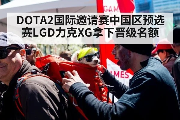 DOTA2国际邀请赛中国区预选赛LGD力克XG拿下晋级名额